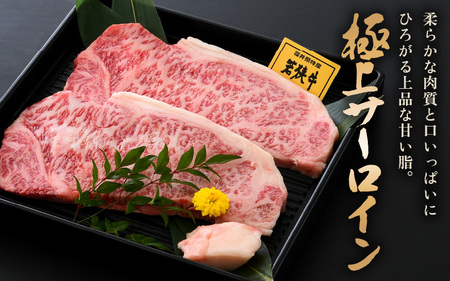 若狭牛 極上 サーロインステーキ 400g (200g×2枚）【牛肉 黒毛和牛 黒毛和種 黒毛 和牛 国産 冷凍 ステーキ バーべキュー BBQ グルメ】 [m15-b001]