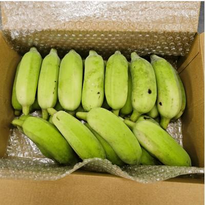 ふるさと納税 国頭村 【栽培期間中農薬不使用】やんばるバナナ1.5kg(10〜24本) |  | 02