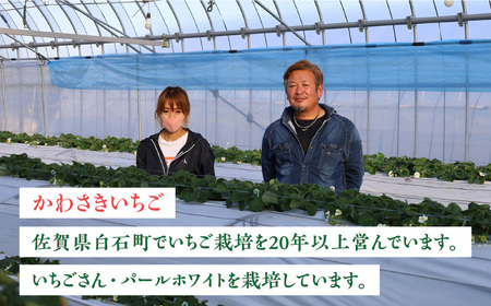 【先行予約】佐賀県産 パールホワイト 約220g×2パック / イチゴ 苺 フルーツ 果物 / 佐賀県 / かわさきいちご [41ASBJ003]