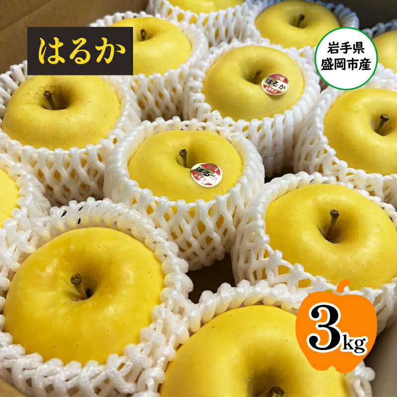 【ふるさと納税】りんご はるか 3kg (8～12個) 北田りんご園 希少 蜜入り 蜜入りりんご フルーツ 果物 旬のフルーツ 旬 旬の果物 産地直送 岩手 岩手県 盛岡 盛岡市 12月発送　お届け：2025年12月上旬からご注文順に順次発送
