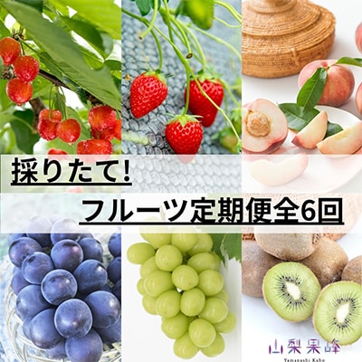 【発送月固定定期便】採りたて!フルーツ定期便全6回【配送不可地域：離島・沖縄県】