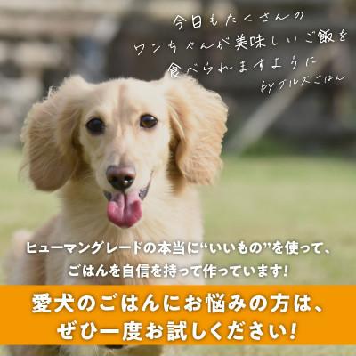 ふるさと納税 久留米市 ペットフード 無添加ドッグフード・ブルズごはんCUBEタイプ(馬)300g×1袋 |  | 03