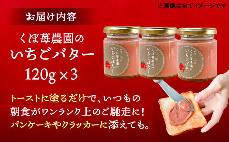 いちごバター 3本 苺 イチゴ ジャム バター【配達不可：離島】 / くぼ苺農園[AECJ023]