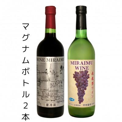 ふるさと納税 山梨市 未来夢ワイナリー　ナチュラルワイン　甲州&amp;ヤマゾービニオン 2本