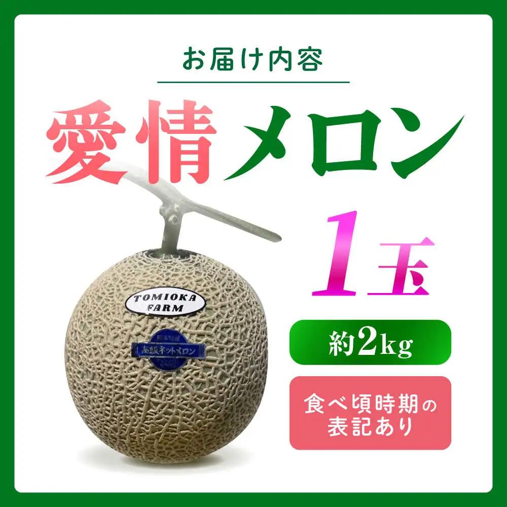 先行予約 年内発送 愛情 メロン 1玉【とみおか農園】[ZEM007]