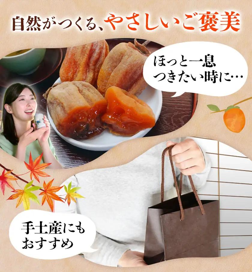 【先行予約】半生干し柿 御船藤農園 12個《2026年11月上旬-2027年1月中旬頃出荷》