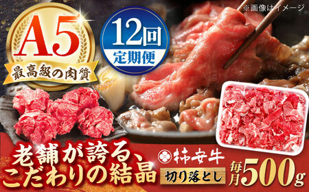 【12回定期便】切り落とし 500g AMBW011 和牛定期便 和牛定期便 和牛定期便 和牛定期便 和牛定期便 和牛定期便
