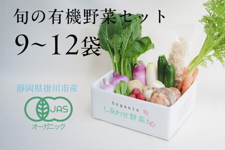 【毎月定期便】しあわせ野菜畑の有機野菜Ｌセット（安心の有機JAS認証　旬のオーガニック野菜　農場直送便）全3回　6869