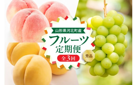 【令和8年産】8月から人気フルーツをお届け！お取り寄せフルーツ定期便 3回 (白桃・黄桃・シャインマスカット)【山形eLab】 ka074-028-r8