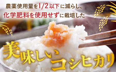 令和7年産 特別栽培米 コシヒカリ匠 2kg節減対象農薬当地比5割減【玄米】 お米 コシヒカリ ふるさと納税米 [A-29119_02]