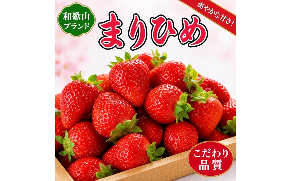 
                  紀州和歌山ブランドいちご「まりひめ」約280g×2P［2027年1月上旬頃から2027年2月下旬頃に順次発送］［UT38］
                
