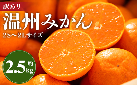 みかん 温州みかん 2.5kg 小玉大玉 無選果 大小混合【みかん みかん みかん みかん みかん みかん】 ms-0071