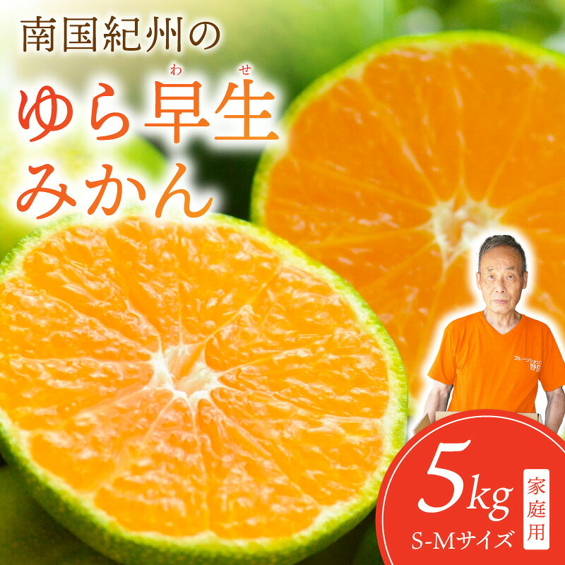 【ふるさと納税】南国紀州のゆら早生みかん≪先行予約≫【配送不可地域：離島】