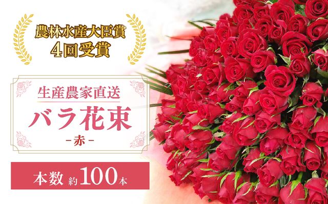 ＜配送エリア限定・着日指定必須＞ 生産農家直送 バラ花束 新鮮 赤 約100本 | バラ 花束 薔薇 ローズ 植物 インテリア 誕生日 記念日 お祝い 母の日 父の日 ラッピング有り リボン付き 多品種 Mix花束 切り花 農林水産大臣賞 生花 プレゼント ギフト 埼玉県 上尾市