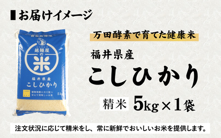 （令和6年産）万田酵素で育てた健康米 福井県産こしひかり5kg 精米  [A-150002] 