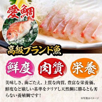 ふるさと納税 大洲市 【冷凍】国内上級 養殖 真鯛 『愛鯛』1尾(3枚卸済 フィレ2枚 お頭付き) [AGDA001] |  | 01