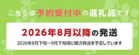 【2026年8月以降お届け】シャインマスカット（1～2房：約1000g～）_シャインマスカット 1房 ～ 2房 約1000g 酸味 甘み 美味しい 皮 薄い 食べやすい 冷蔵 フルーツ 果物 ぶどう 