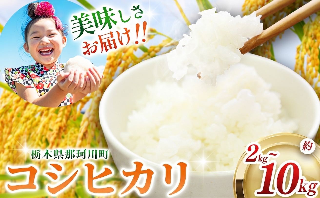 
                  令和7年度産 那珂川町産 コシヒカリ 選べる内容量 約 2kg ~ 約 10kg | 選べる お米 米 栃木米 和 那珂川サンライズ こしひかり 食品 ご飯 おにぎり 内容量 お米 栃木県 那珂川町 送料無料
                