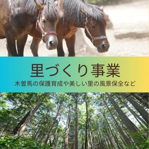 【返礼品なし】長野県木曽町応援寄附金(1口 1,000円)