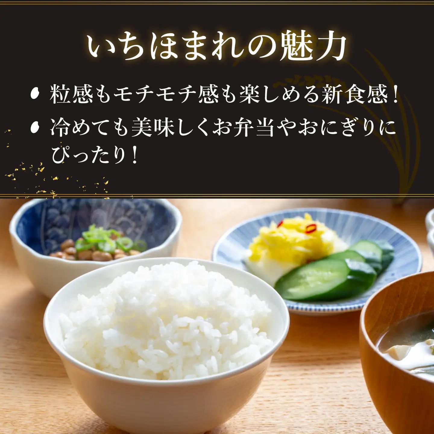 【寄付額見直し】令和7年産 いちほまれ 10kg（5kg × 2袋）お米 ごはん