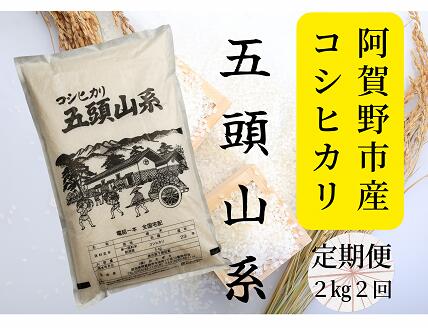 【ふるさと納税】【令和7年産新米】「米屋のこだわり阿賀野市産」≪2回定期便≫コシヒカリ2kg×2回 新潟県 阿賀野市 五頭山系 米 白米 精米 かたぎり