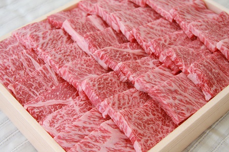 奥出雲和牛赤身焼肉用450g 【肉質日本一!しまね和牛 黒毛和牛 贈答用 冷蔵 チルド 日時指定 Ａ-5】