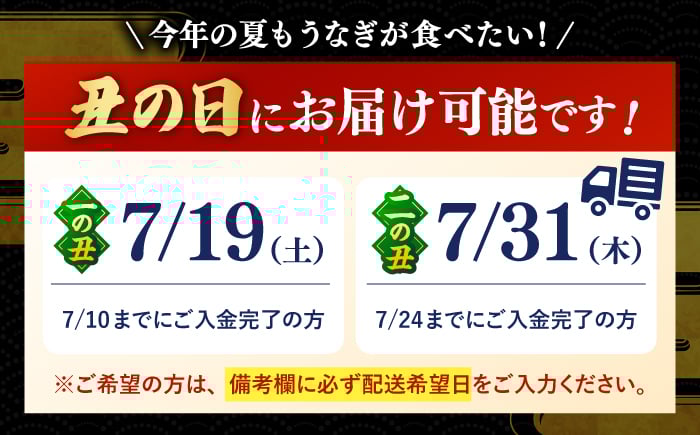 国産 鹿児島産 鰻 うなぎ ウナギ 特大 蒲焼き 蒲焼  鹿児島うなぎ  国産鰻 鰻  うな重 ひつまぶし うなぎ うなぎ 