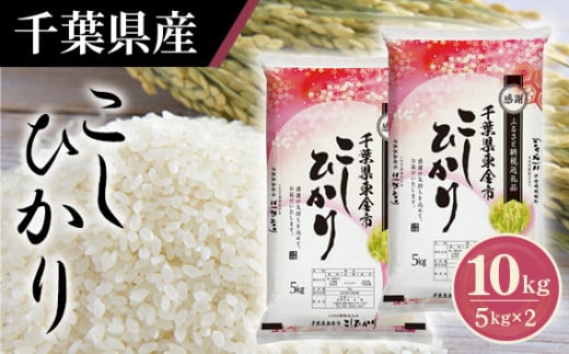 No.160 令和6年産 千葉県産コシヒカリ5kg×2袋 ／ お米 こしひかり 千葉県