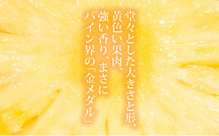 ＜先行予約＞ 石垣島産 黄金パイン 中玉 3玉 約3.9kg ＜2026年7月以降発送＞【 産地直送 沖縄 石垣 フルーツ パイナップル パイン 黄金パイン 】 SI-121