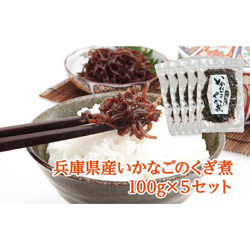 【ふるさと納税】兵庫県産 いかなごのくぎ煮 100g×5セット　【姫路市】