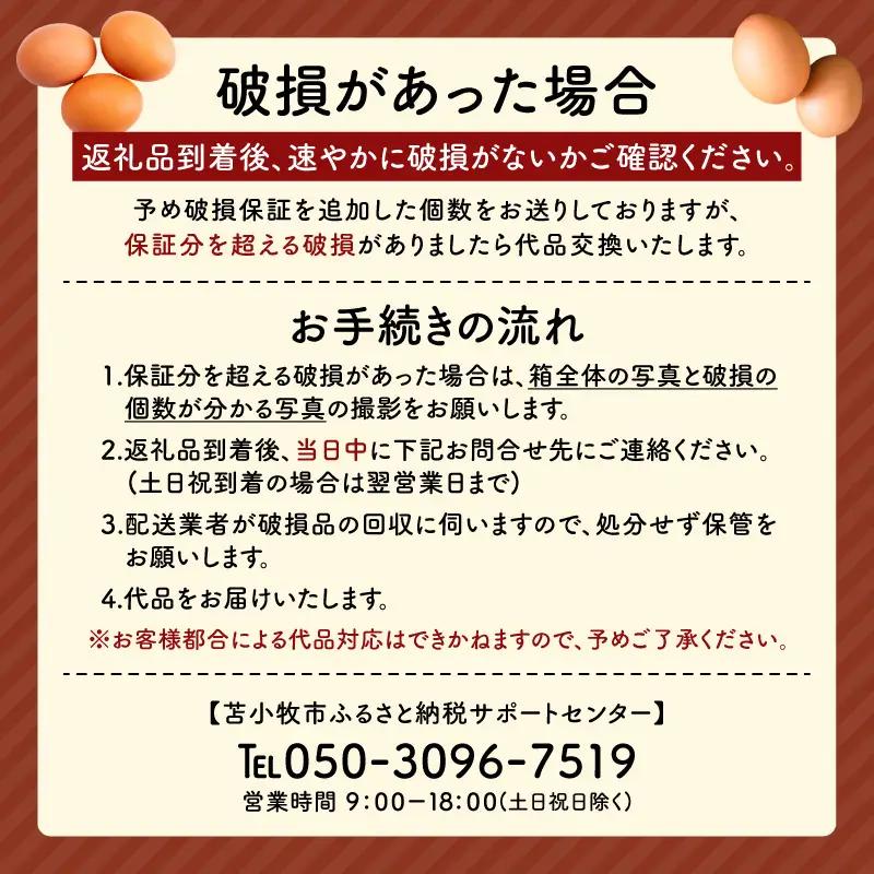 【 全3回 定期便 】 平飼い たまご T074-T01-01 卵
