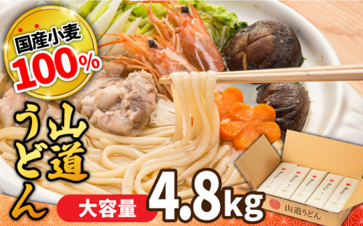 【通常配送】島原 手延べうどん 山道うどん 国産小麦100％ 160g×30袋 4.8kg / 島原手延べ うどん ウドン 饂飩 乾麺 麺   / 南島原市/ そうめんの山道 [SDC011]