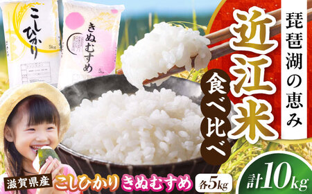 【スピード発送】コシヒカリ・きぬむすめ白米食べ比べセット [AQDH007] こしひかり 白米