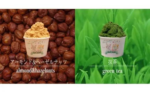Sol soleのジェラート選べる12個入り お好みセット　無添加　ジェラート スイーツ デザート 鹿嶋市　アイス 送料無料（KBM-3）