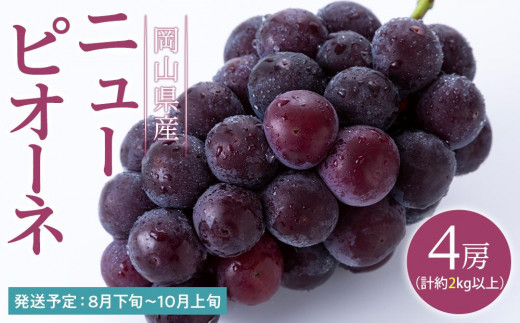 
ぶどう 2025年 先行予約 ニュー ピオーネ 4房（合計約2kg） ブドウ 葡萄 岡山県産 国産 フルーツ 果物 ギフト
