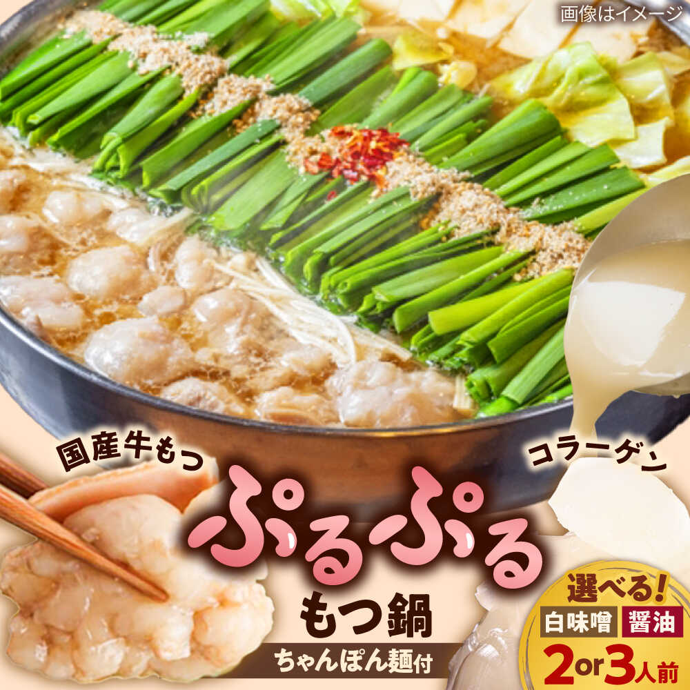 【ふるさと納税】「上田商店」博多もつ鍋セット(白味噌/醤油味・2人前/3人前) 吉富町/株式会社吉浦コーポレーション[BGAD054] もつ鍋 もつ 鍋 鍋セットもつ鍋セット お取り寄せ