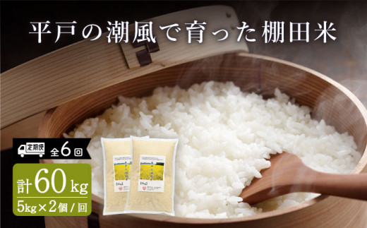 【全6回定期便】平戸の潮風で育った 棚田米 計60kg （5kg×2個/回） 平戸市 / ひらど新鮮市場 [KAB173]