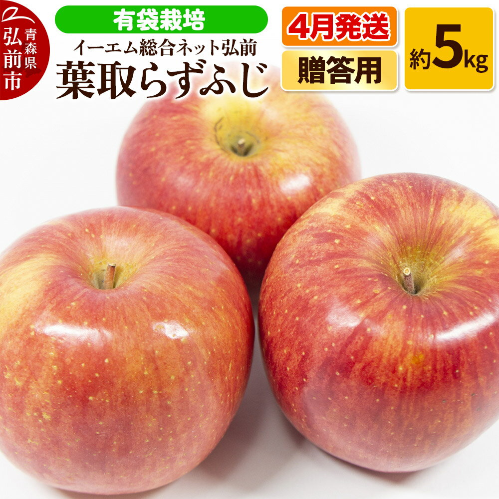 【ふるさと納税】【4月発送】りんご 贈答用 葉取らず ふじ 約5kg（有袋栽培・CA貯蔵）EMりんご