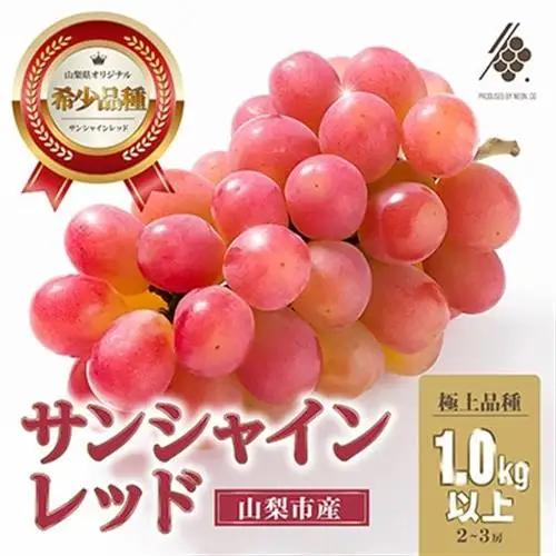 【2027年発送 先行予約】 サンシャインレッド 2房～3房 (約1kg) 山梨県オリジナル品種【配送不可地域：離島・沖縄県】【1670108】