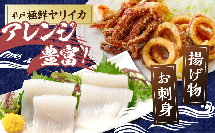 【全6回定期便】【着日指定 可能】【美味しさそのまま瞬間冷凍】平戸極鮮ヤリイカ 約1kg 平戸市 / 海隆丸 [KAB268]