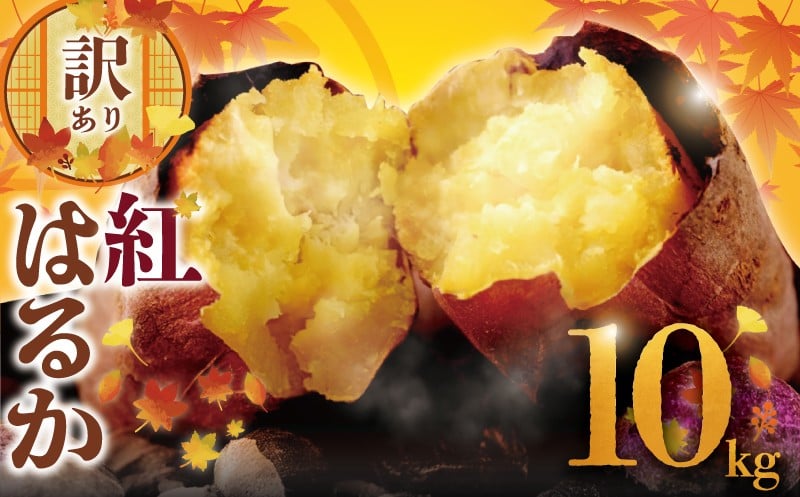 
            訳あり さつまいも 紅はるか 10kg 訳アリ 訳有 サツマイモ 薩摩芋 さつま芋 デザート べにはるか スイーツ 甘芋 スイートポテト sweet potato 蜜 蜜芋 芋 イモ 旬 秋野菜 秋の味覚 10000円 おやつ 食物繊維 不揃い 数量限定 農家直送 産地直送 神奈川 湘南 藤沢 フロムベジ湘南
          