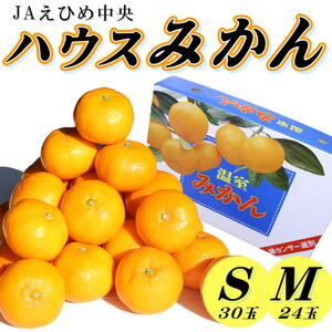 ハウスみかん みかん ハウスみかん 【SSK0051】