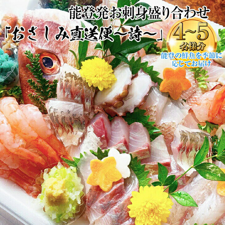 【ふるさと納税】【能登半島地震復興支援】能登産 お刺身盛り合わせセット「おさしみ直送便～詩～」4～5名様分 ｜冷蔵 生 魚介 海鮮 さしみ 詰め合わせ セット 盛り合わせ 盛り付け 日本海 海の幸 シーフード 直送 能登湾 能登 復興 復興支援 石川県 七尾市