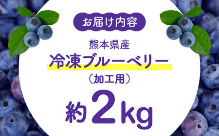 【8月末より順次発送】【加工用】冷凍ブルーベリー 2kg【「のん気・元気」百姓家】[YAL027]