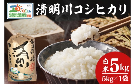 令和7年産 茨城県特別栽培認証 清明川コシヒカリ白米5kg【米 おこめ こしひかり  特別栽培米 農家直送 直送 茨城県 阿見町】(04-01-1)