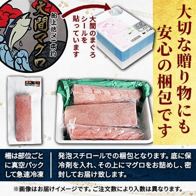 大間産本マグロ 赤身と中トロセット 各200g前後(合計400g前後)【配送不可地域：離島】
