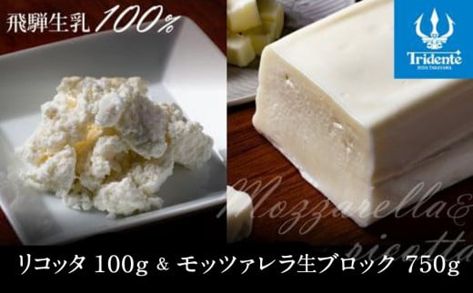 飛騨生乳100％ リコッタ1個 &  モッツァレラチーズ生ブロック1個セット | セット チーズ 冷蔵 濃厚 低温殺菌 乳製品 おいしい 人気 チーズ工房トリデンテ LF017