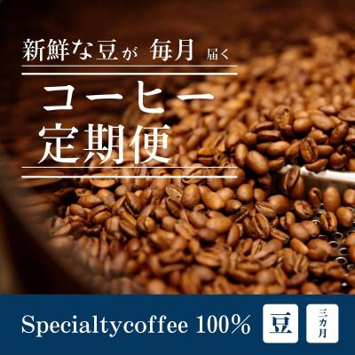 ふるさと納税 豊川市 【毎月定期便】毎月違うコーヒー豆をお届け スペシャルティコーヒー 豆 300g全3回