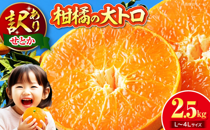 【先行予約】【2月下旬より順次発送】訳あり せとか 2.5kg （Lから4Lサイズ混合） 愛媛県大洲市/有限会社西山青果 みかん フルーツ 果物 セトカ 訳あり [AGAR012]