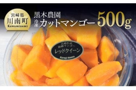 宮崎県産マンゴー黒木農園の冷凍カットマンゴー（種なし）500g 果物 フルーツ マンゴー